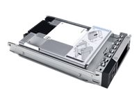 Dell - SSD - Read Intensive - 1.92 TB - 2.5" i 3,5 tommer leder - SATA 6Gb/s - for PowerEdge C6420 (3.5") 345-BDSG