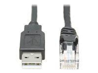 Eaton Tripp Lite Series USB to RJ45 Rollover Console Cable (M/M) - Cisco Compatible, 250 Kbps, 6 ft., Black - Seriell kabel - USB (hann) til RJ-45 (hunn) - 1.83 m - dobbeltisolert - USB 1.1 - svart U009-006-RJ45-X