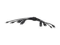 Belkin Secure KVM Combo Cable - Video- / USB / audio-kabel - TAA-samsvar - HDMI, DisplayPort, minijakk, USB (hann) til HDMI, DisplayPort, minijakk, USB-type B (hann) - 3.05 m - 4K-støtte, passiv - svart F1DN2CC-HHPP10T